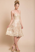 Delilah Lace Dress Beige
